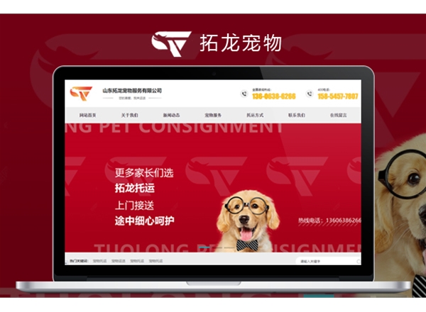 煙臺(tái)網(wǎng)站建設(shè)